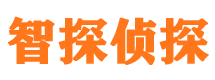 宾县市私家侦探